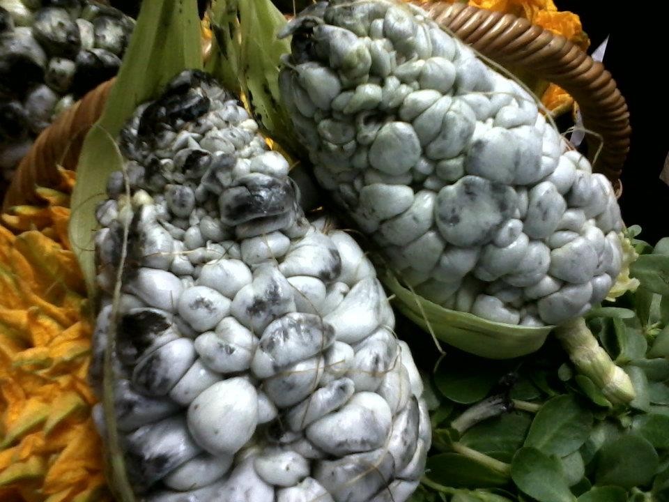 Mexican Huitlacoche Magazine WorldPass