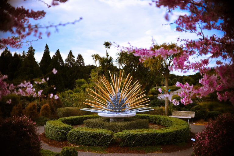 Los increíbles jardines de Nueva Zelanda 