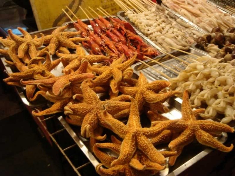 starfish3